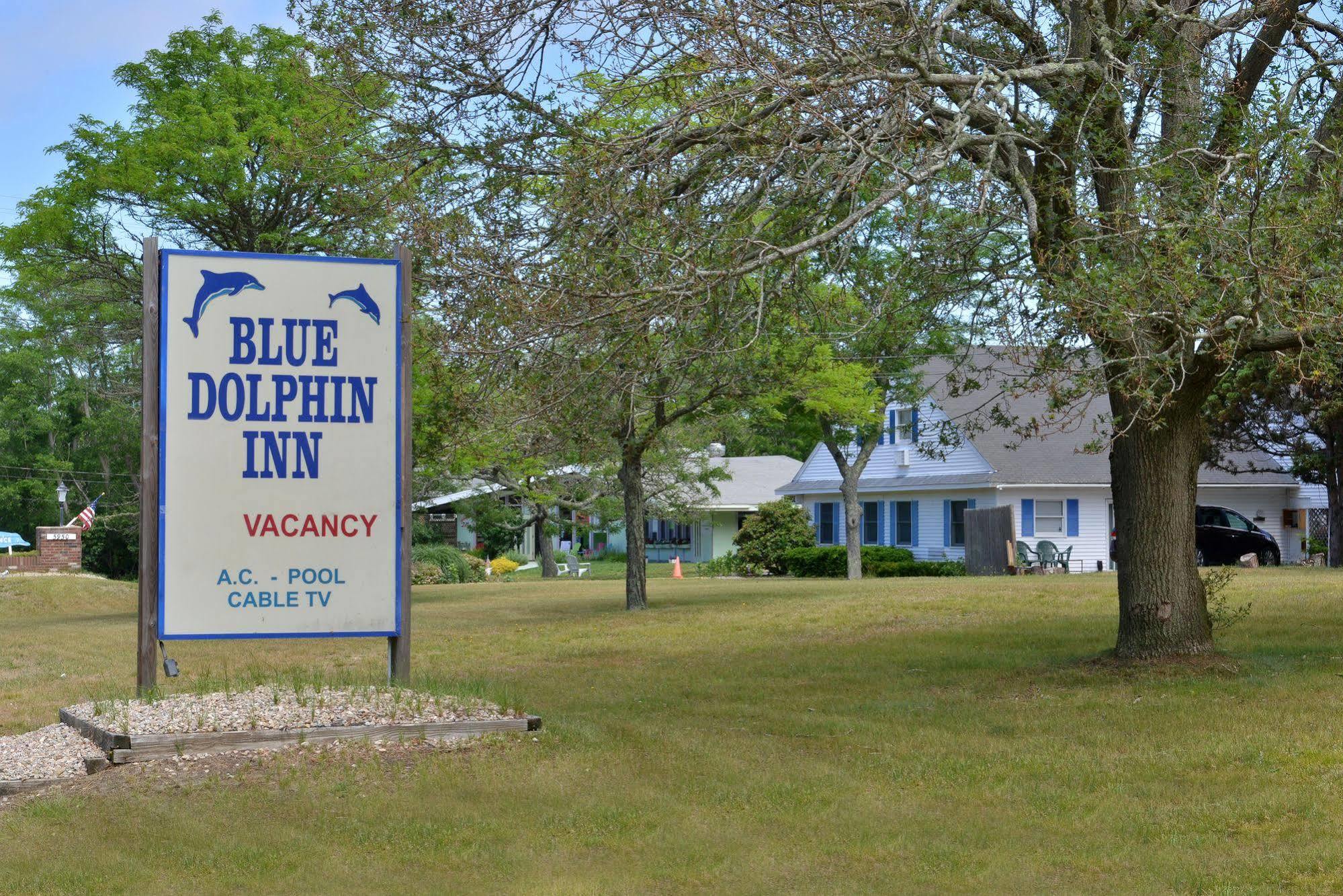 Blue Dolphin Inn Eastham Buitenkant foto