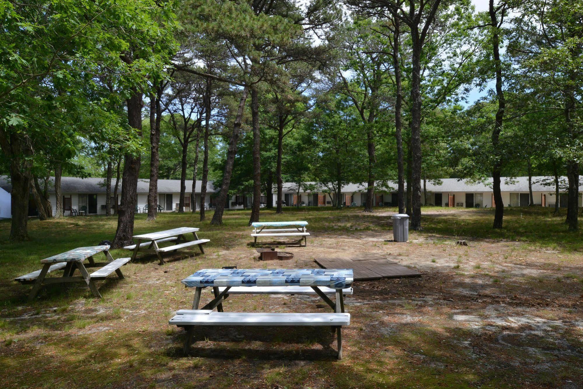 Blue Dolphin Inn Eastham Buitenkant foto